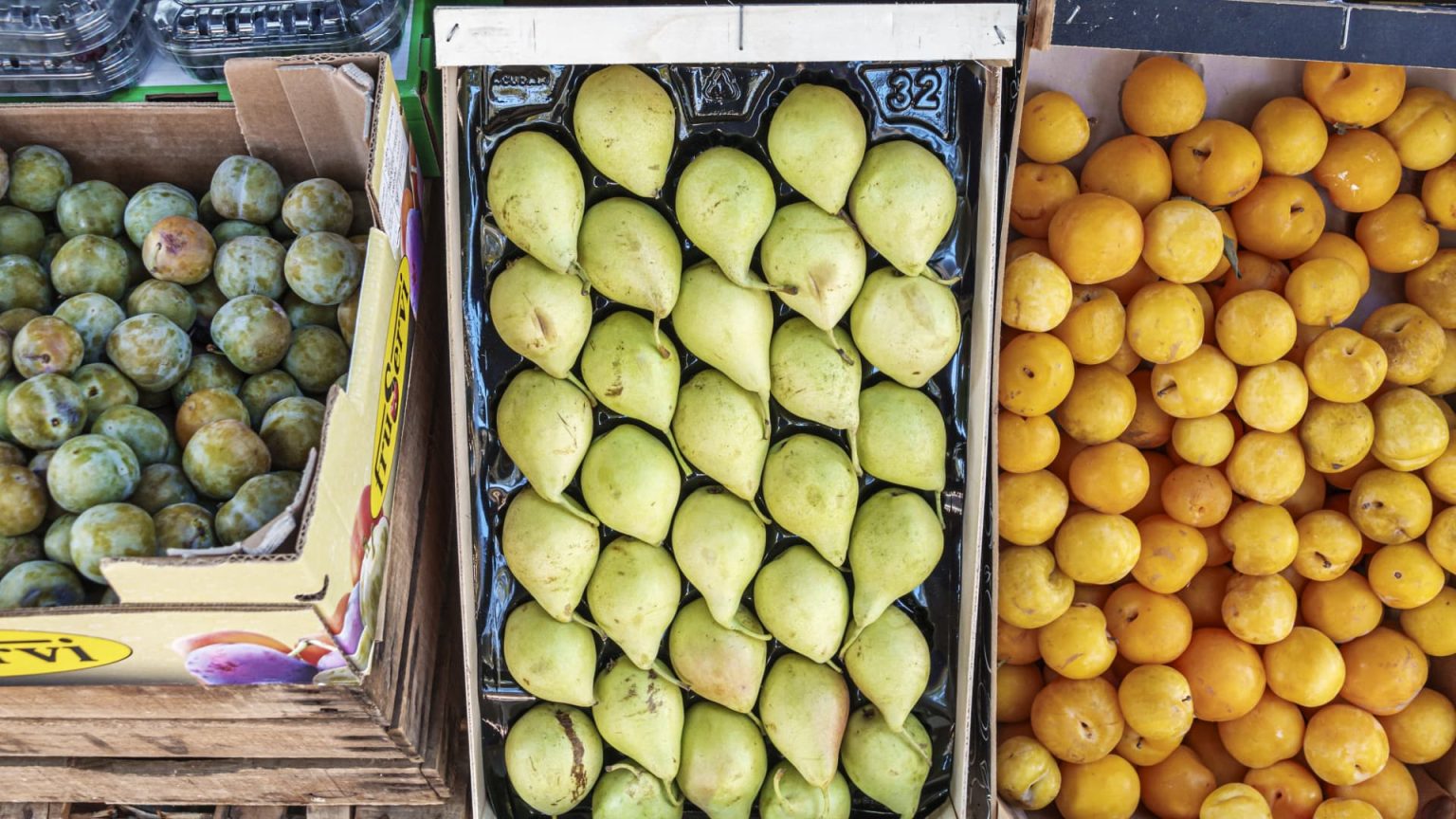 Euro zone economy shows resilience as second-quarter GDP beats expectation, inflation slips