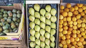 Euro zone economy shows resilience as second-quarter GDP beats expectation, inflation slips