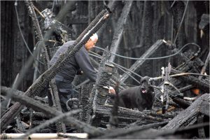 (5) The Unvaxxed Elderly Are A Deadly ‘Accelerant’