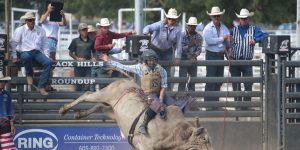 Regional bank ETF’s massive July jump marks its strongest month since 2016 after rough ride in 2023