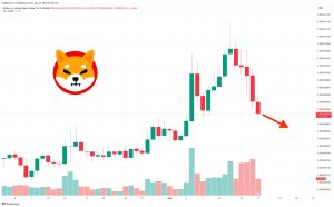 Shiba Inu Price Prediction as SHIB Drops 7.5% After Shibarium Launch – What’s Going On?
