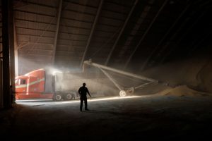 Mexico says won’t modify decree on GM corn ahead of USMCA panel