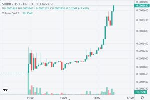 Cat Coin, Shibarium Token Pumping on Uniswap