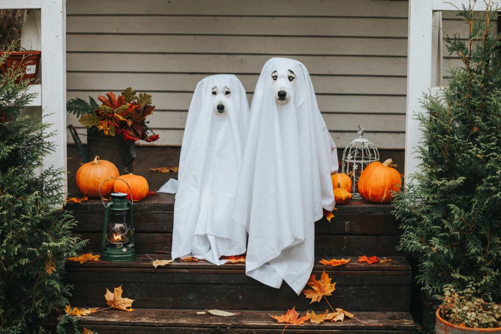 Spirit Is Anything But Spooky (NYSE:SRC)