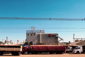 BRF: Uncertainty Persists Despite Commodity Cycle Advantage (NYSE:BRFS)