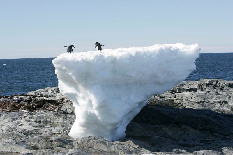 Alaska sues Biden administration over canceled Arctic oil and gas leases