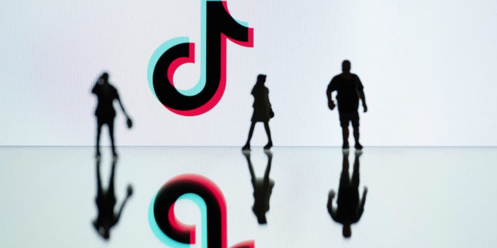 Osama bin Laden’s TikTok moment provides ‘further evidence’ that U.S. should ban app, House’s China hawk says