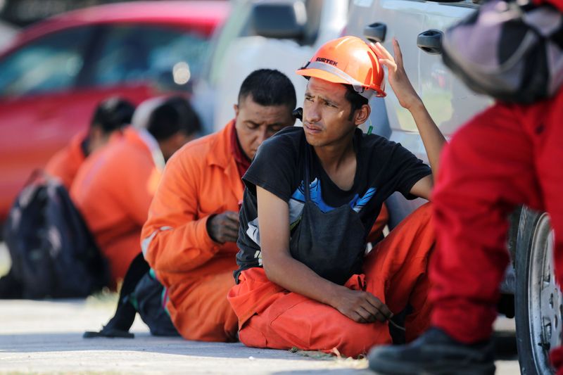 Brent crude prices slump amid weakened US demand, global consumption remains robust