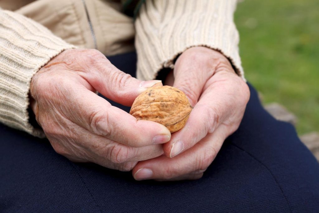 Social Security Benefits In A Nutshell — Everything You Need To Know