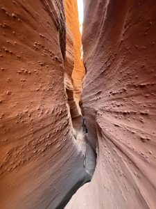 Why We Trade Our Dreams To Escape Our Nightmares